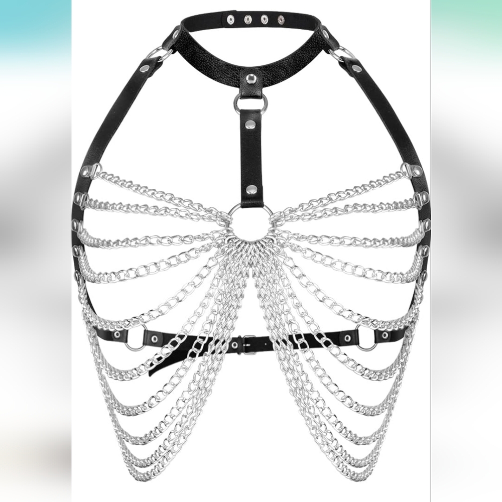 Leather and Chain Harness